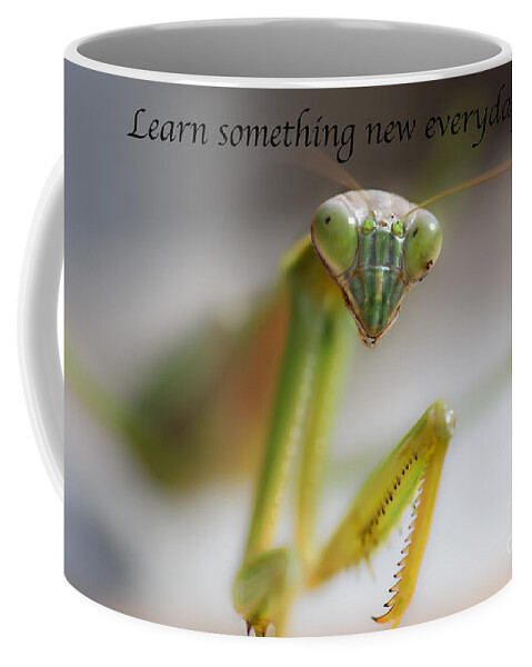 Learn Coffee Mug featuring the photograph Learn something new everyday by Metaphor Photo
