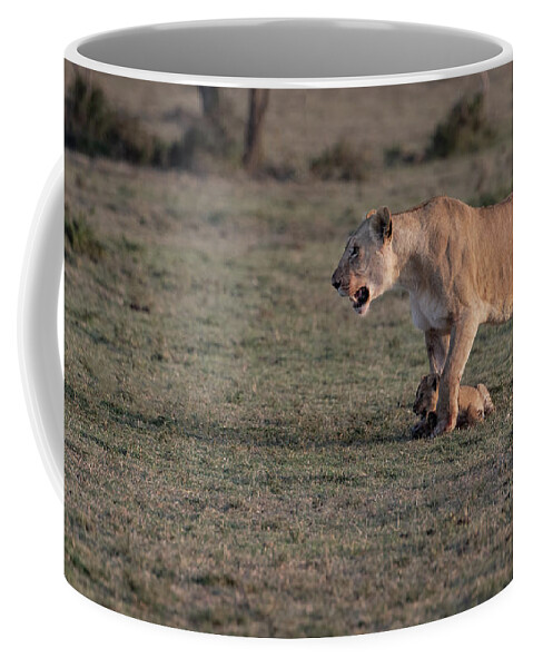 Lions Coffee Mug featuring the photograph Learning The Ropes by Sandra Bronstein