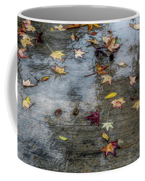 Leaves Coffee Mug featuring the photograph Leaves in the Rain by Alison Frank