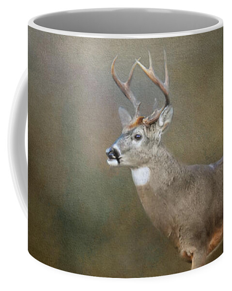 Deer Coffee Mug featuring the photograph Leaving Autumn Behind by Jai Johnson