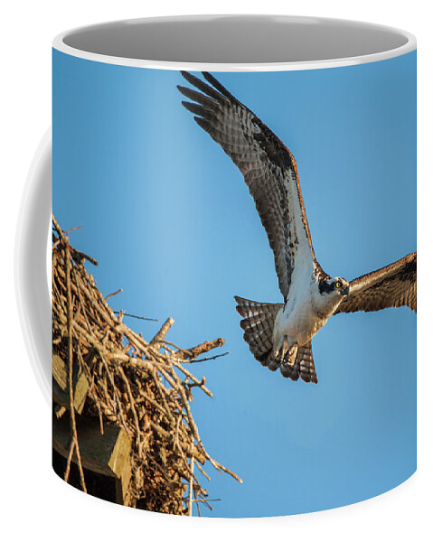 Nature Coffee Mug featuring the photograph Leaving The Nest by Cathy Kovarik