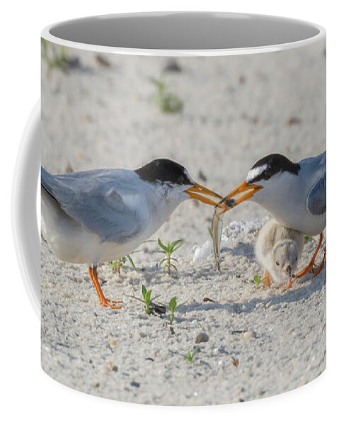 Bird Coffee Mug featuring the photograph Let Me Try by Susan Rissi Tregoning