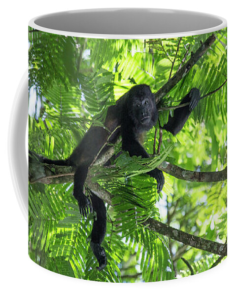 Monkey Coffee Mug featuring the photograph Let's Hangout Sometime by Betsy Knapp