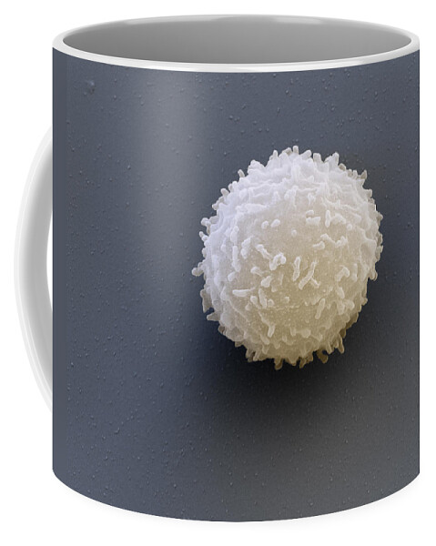 Blood Coffee Mug featuring the photograph Leukocyte, Sem by Meckes/ottawa
