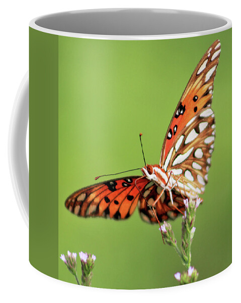 Butterfly Coffee Mug featuring the photograph Life in Balance by Michael Allard