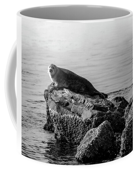 Harbor Seal Coffee Mug featuring the photograph Lifting Fog by Cathy Kovarik