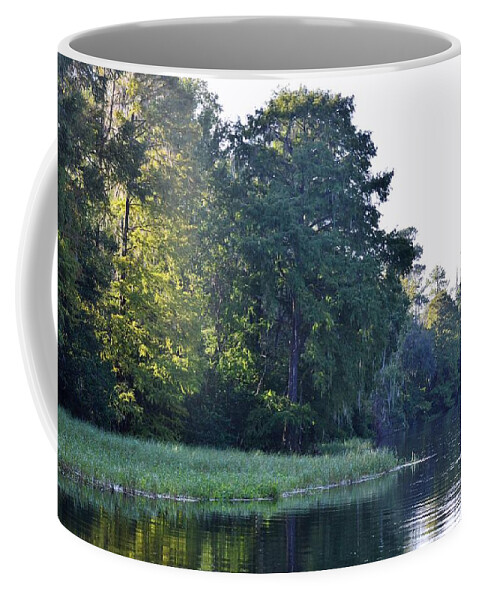 Light Across The Rainbow River Coffee Mug featuring the photograph Light Across the Rainbow River by Warren Thompson