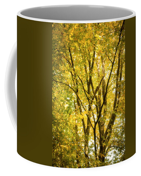 Autumn Coffee Mug featuring the photograph Light in the leaves by Philippe Sainte-Laudy