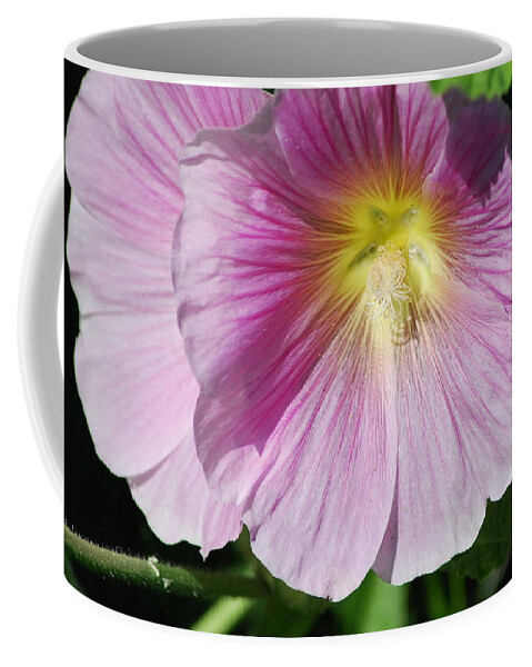 Light Pink Orchid Satin Rose Flowers Coffee Mug featuring the photograph Light Pink Orchid Satin Rose by Ee Photography