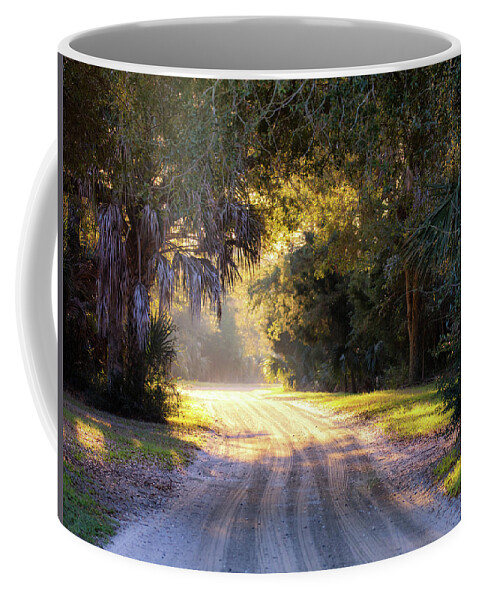 Charleston Coffee Mug featuring the photograph Light, Shadows and an Old Dirt Road by Donnie Whitaker