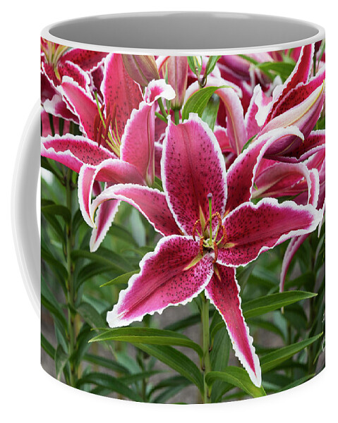 Lilium Red Eyes Coffee Mug featuring the photograph Lilium Red Eyes by Tim Gainey