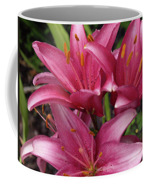 Lily Coffee Mug featuring the photograph Lilixplosion 3 by Jeffrey Peterson