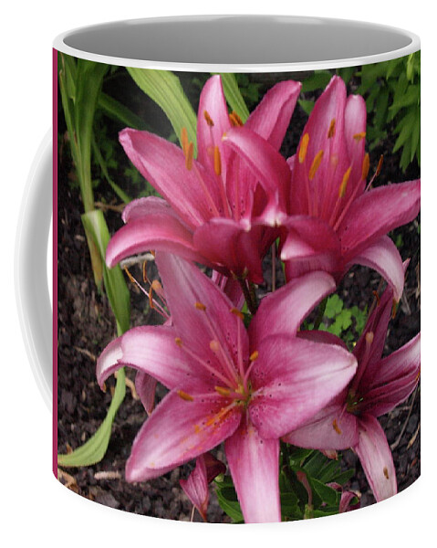 Lily Coffee Mug featuring the photograph Lilixplosion 4 by Jeffrey Peterson