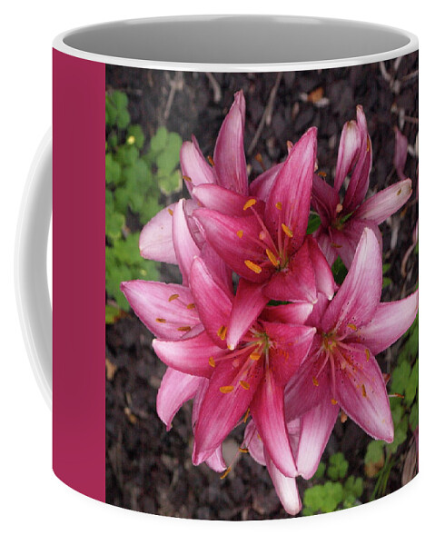 Lily Coffee Mug featuring the photograph Lilixplosion 7 by Jeffrey Peterson