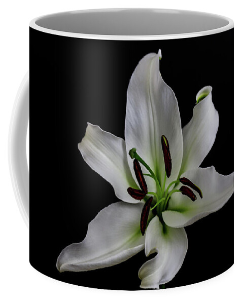 Flowers Coffee Mug featuring the photograph Lily 5791 by Pamela S Eaton-Ford