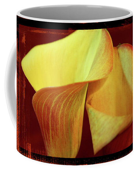Calla Lily Coffee Mug featuring the photograph Lily Love by Francine Collier