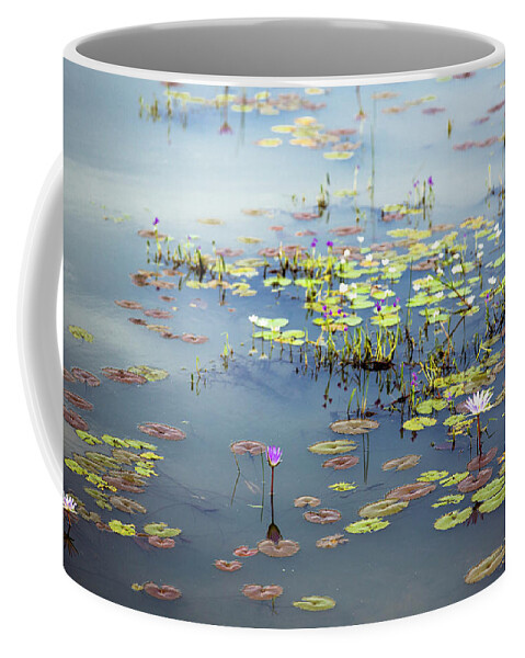 Cambodia Coffee Mug featuring the photograph Lily Pads by Nicole Young