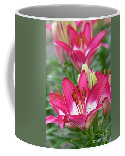 Lily Perfect Joy Coffee Mug featuring the photograph Lily Perfect Joy Flowers by Tim Gainey