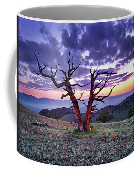 Idaho Scenics Coffee Mug featuring the photograph Limber Pine Sunset by Leland D Howard