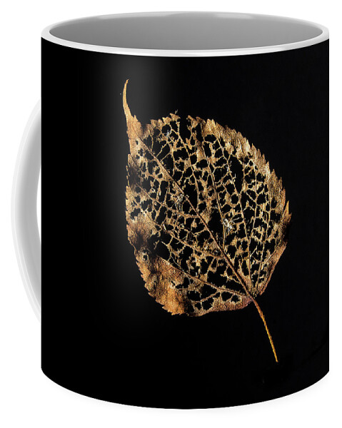 Leaf Coffee Mug featuring the photograph Linden Leaf One by Ira Marcus