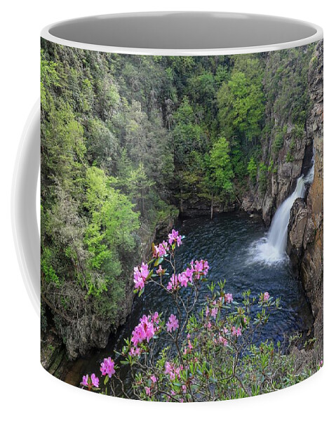 Waterfall Coffee Mug featuring the photograph Linville Flower Falls by Chris Berrier
