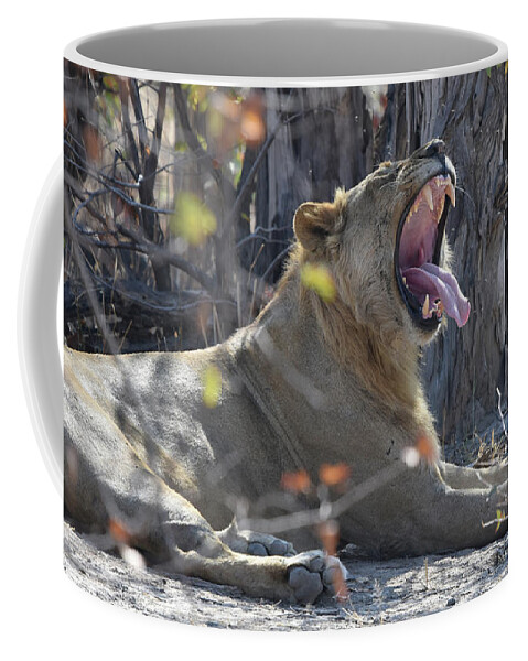 Lion Coffee Mug featuring the photograph Lion's Yawn by Ben Foster