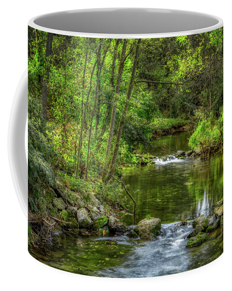 Trexler Coffee Mug featuring the photograph Little Cedar Creek in Trexler Memorial Park by Jason Fink