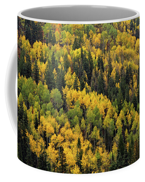  Coffee Mug featuring the photograph Little Cottonwood Fall Color - Alta, Utah by Brett Pelletier