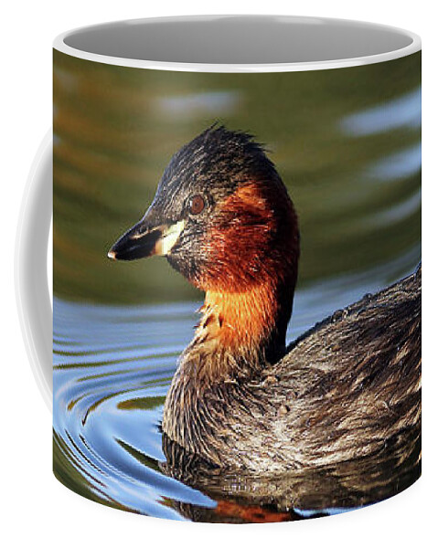  Bird Coffee Mug featuring the photograph Little Grebe in pond by Grant Glendinning