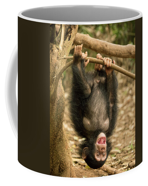 Gerry Ellis Coffee Mug featuring the photograph Little Larry Playing In Forest by Gerry Ellis