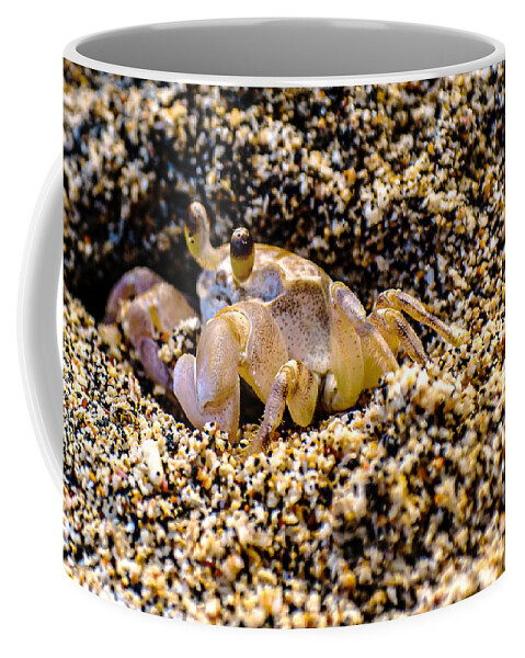 Wildlife Coffee Mug featuring the photograph Little Sand Crab by John Bauer