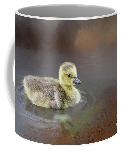 Canada Goose Coffee Mug featuring the photograph Little Swimmer by Eva Lechner