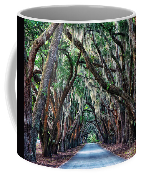 South Carolina Coffee Mug featuring the photograph Live Oaks Spanish Moss Hilton Head Island South Carolina by Wayne Moran