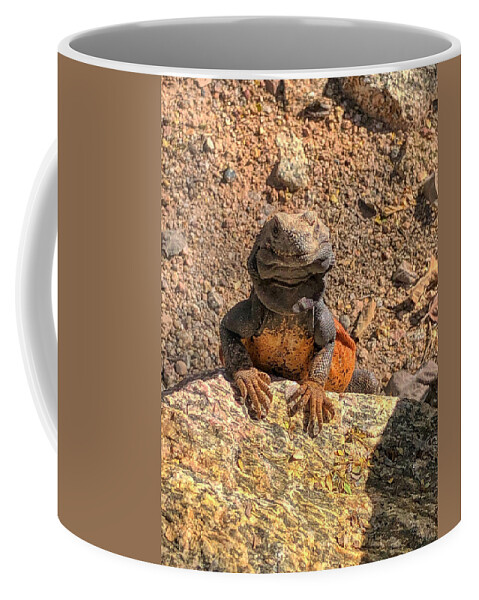 Lizard Coffee Mug featuring the photograph Lizard Portrait by Anthony Giammarino