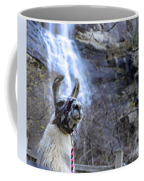 Llama Coffee Mug featuring the photograph Llama Waterfall by Buddy Morrison
