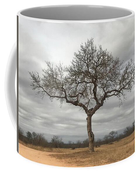 Tree Coffee Mug featuring the photograph Loan Tree by Ben Foster