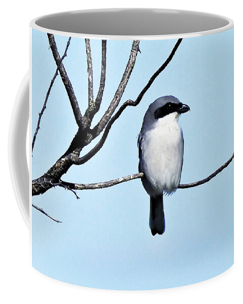 Bird Coffee Mug featuring the photograph Loggerhead Shrike by Jerry Connally