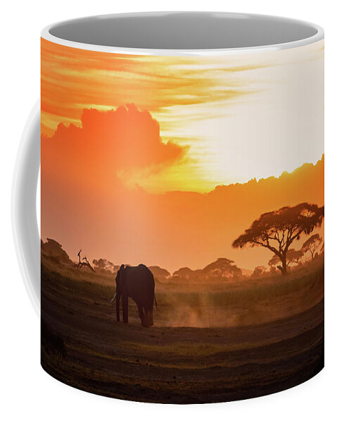 Sunset Coffee Mug featuring the photograph Lone elephant walking through Amboseli at sunset by Jane Rix