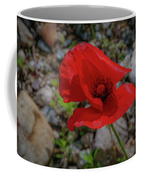 Flower Coffee Mug featuring the photograph Lone Red Flower by Lora J Wilson