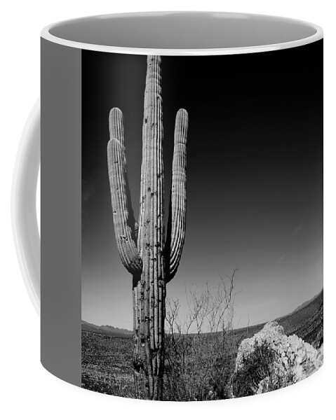 Lone Coffee Mug featuring the photograph Lone Saguaro Square by Chad Dutson