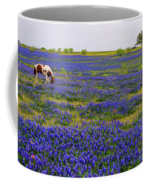 Austin Coffee Mug featuring the photograph Lonely Paint by Johnny Boyd