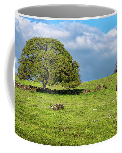 Cattle Coffee Mug featuring the photograph Lonely Steer by Dan McGeorge
