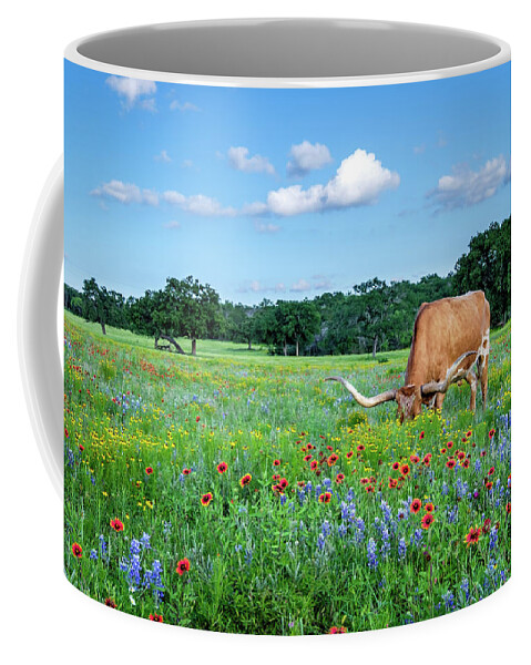 Texas Wildflowers Coffee Mug featuring the photograph Longhorn In Bluebonnets by Johnny Boyd