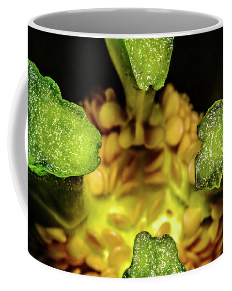 Macro Coffee Mug featuring the photograph Looking into a Pepper by John Bauer