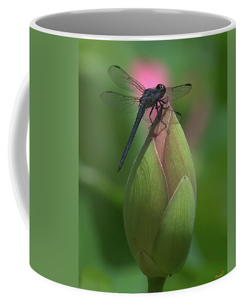 Lotus Coffee Mug featuring the photograph Lotus Bud and Slaty Skimmer Dragonfly DL0006 by Gerry Gantt