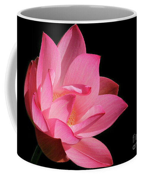 Lotus Coffee Mug featuring the photograph Lotus Diva by Sabrina L Ryan