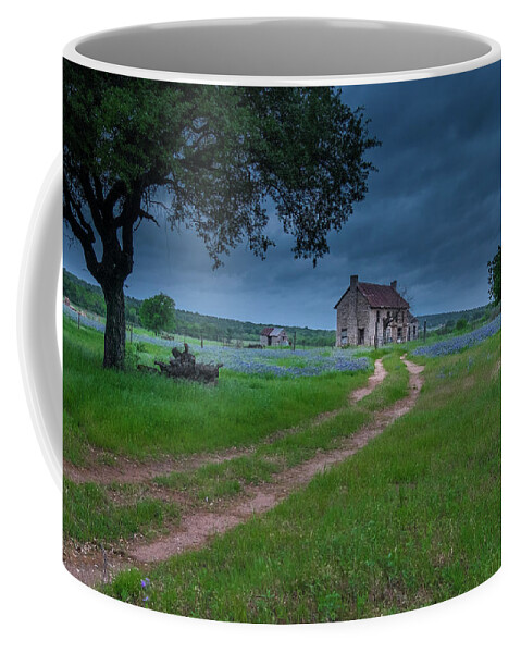 Spring Coffee Mug featuring the photograph Love Leads Home by Johnny Boyd