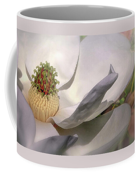 Southern Magnolia Coffee Mug featuring the photograph Love Of Nature by Mary Lou Chmura
