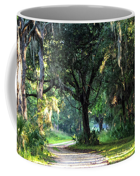 Pinckney Island National Wildlife Refuge Coffee Mug featuring the photograph Lowcountry Forest by Mary Ann Artz