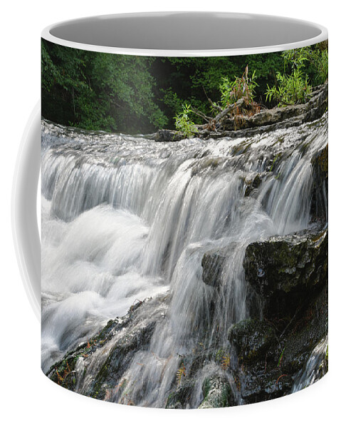 Burgess Falls Coffee Mug featuring the photograph Lower Falls 5 by Phil Perkins